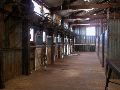 DSCN1335.JPG