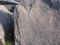 DSCN0991.JPG