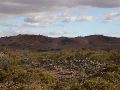 DSCN1423.JPG