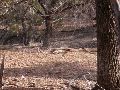 DSCN1426.JPG