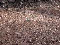 DSCN1427.JPG