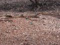 DSCN1428.JPG