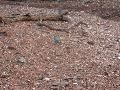 DSCN1429.JPG