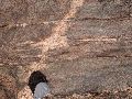 DSCN1004.JPG