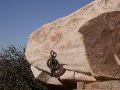 DSCN1516.JPG