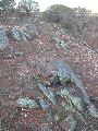 DSCN1022.JPG