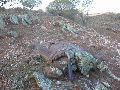 DSCN1023.JPG
