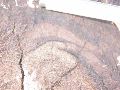 DSCN1039.JPG