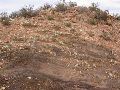 DSCN1044.JPG